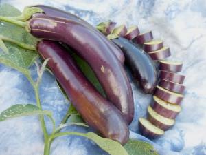 long-purple-eggplant_lrg.jpg